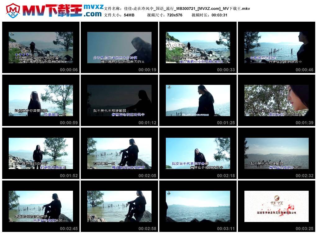 佳佳-走在冷风中_国语_流行_MB300721